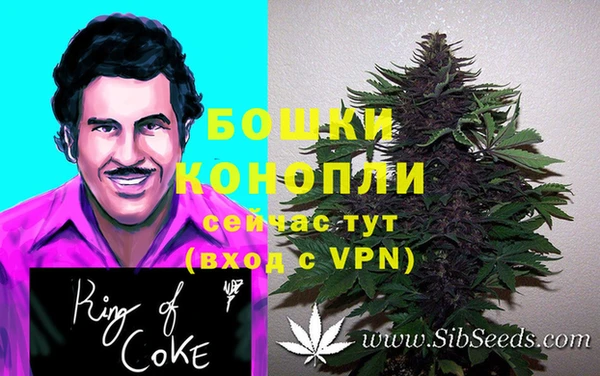 Альфа ПВП Абаза